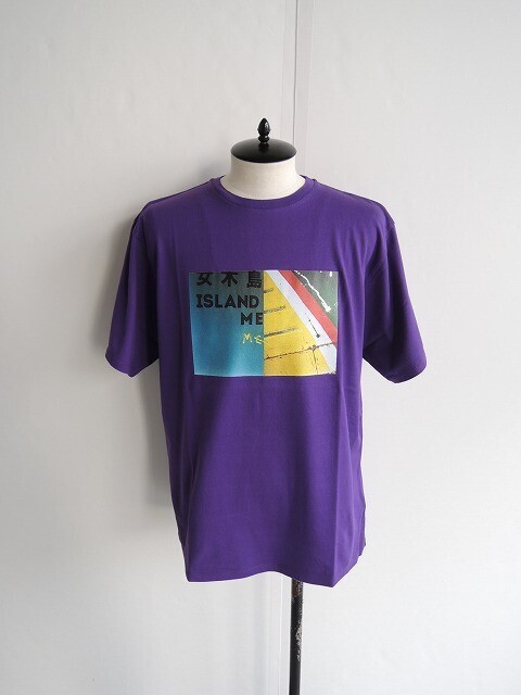 WELLDER Regular Fit T-Shirts (Megi-Island Phot Print)