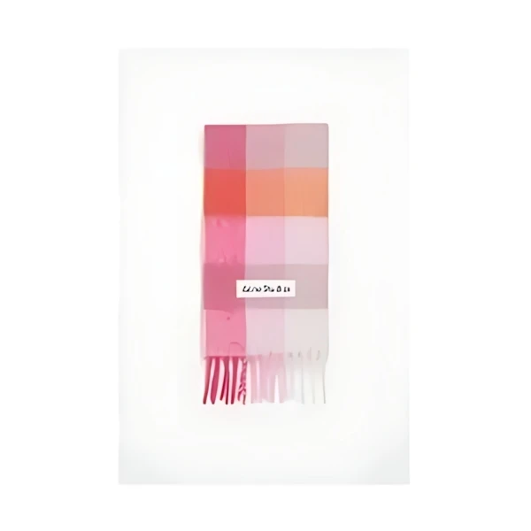 Acne Studios Mohair checked scarf
