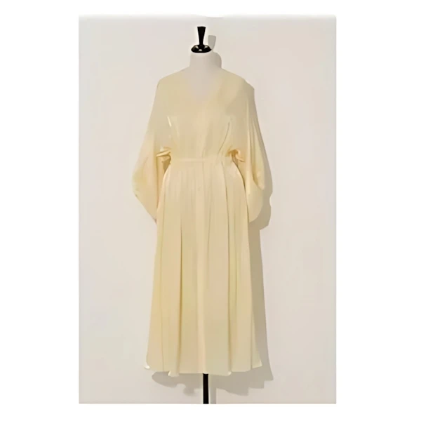 Arobe Chambray Dress