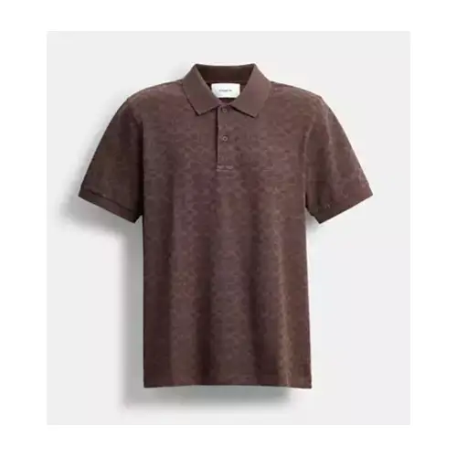 COACH シグネチャー ポロ