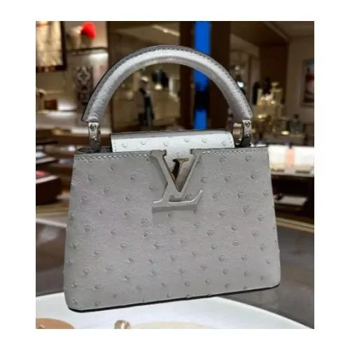 LOUIS VUITTON カプシーヌ ミニ