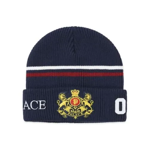 Palace Established Beanie