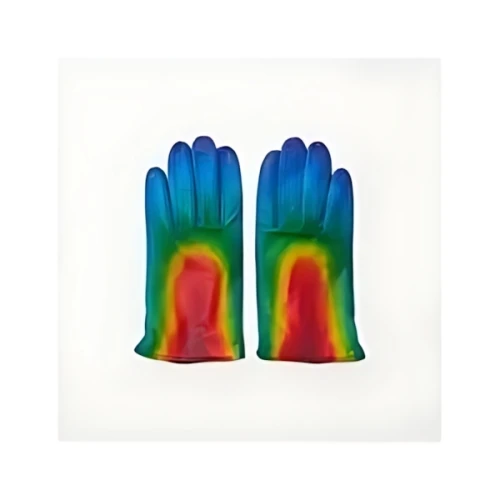 TENDER PERSON THERMOGRAPHY HANDS GLOBE