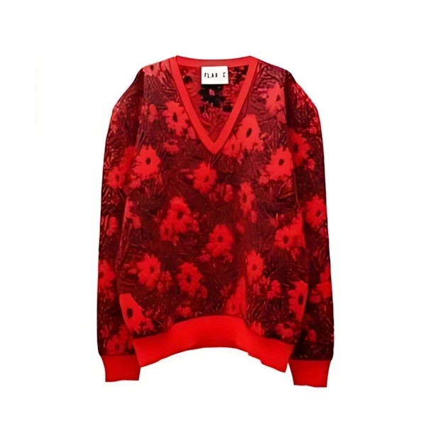 Plan C MERANGE FLOWER VNECK KNIT