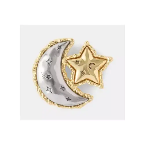 COACH ムーン アンド スター ブローチ