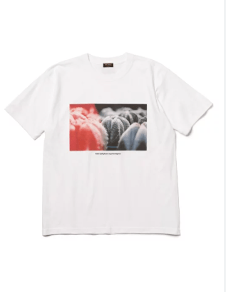 MR.OLIVE SABO-1 Tシャツ