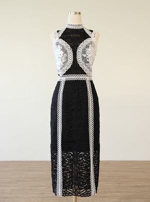 Disaya Sleeveless Bodycon Dress with Guipure Lace Trimming
