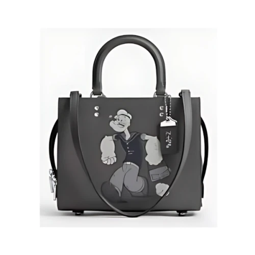 COACH × POPEYE ローグ バッグ 25