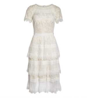 TADASHI SHOJI Nixie Tea Length Lace Dress nikusi-texi-rengusudoresu