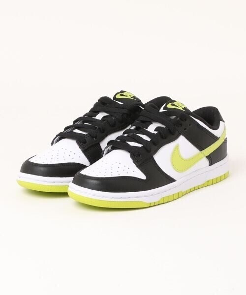 NIKE DUNK LOW RETRO　DV0833-110
