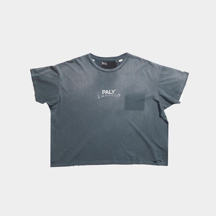 Paly Hollywood 半袖Tシャツ
