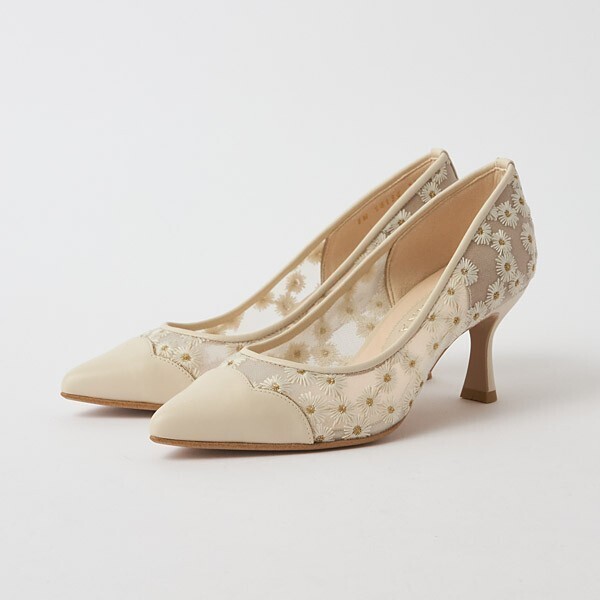 DIANA pumps