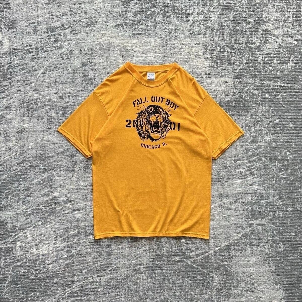 Fruit of the Loom Vintage 2001 Fall Out Boy Band T-shirt