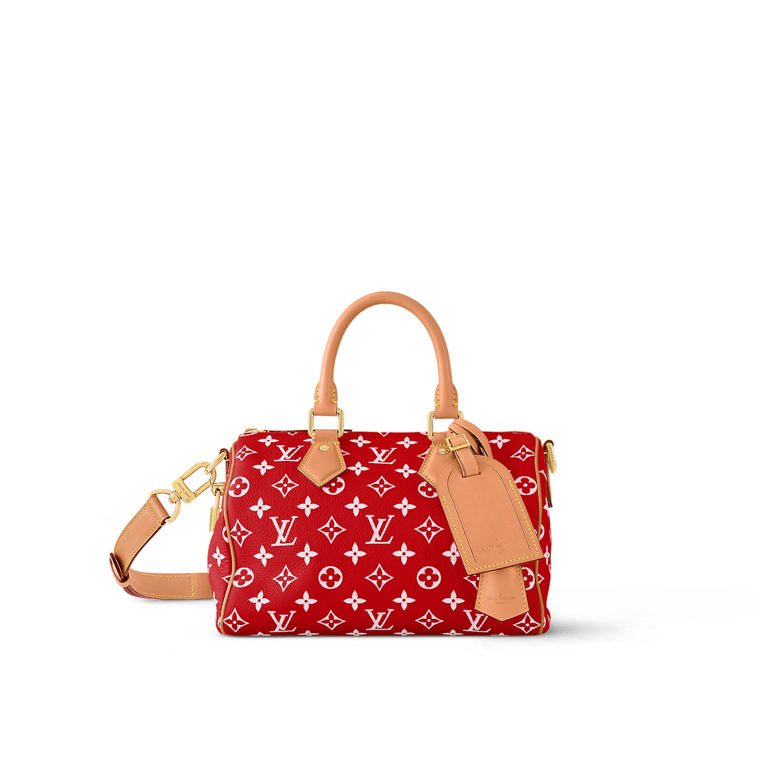 LOUIS VUITTON Speedy P9 Bandoulière 25
